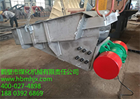這款振動(dòng)給料機(jī)電機(jī)雙保險(xiǎn)嗎？